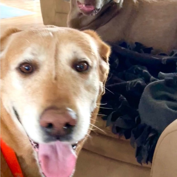 Meet your Posher, Kathy - Picture 11 of 16